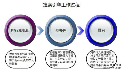 搜索引擎的運作方式及其在網(wǎng)絡(luò)信息技術(shù)推廣服務(wù)中的作用