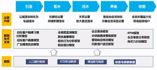 南充網絡推廣專家解讀 私域流量的核心表現形式與高效運營方法論